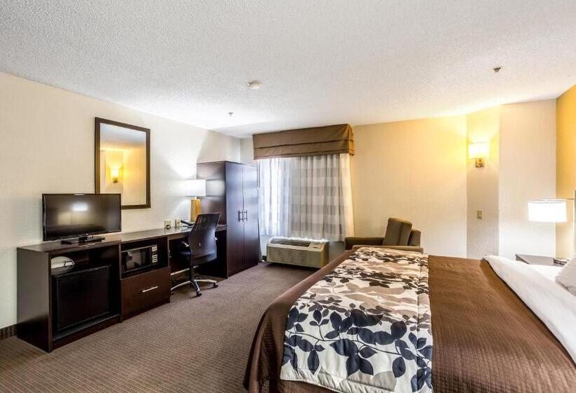 غرفة قياسية سرير كينج, Wingate By Wyndham Owensboro