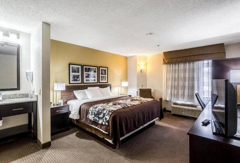 اتاق استاندارد با تخت بزرگ, Wingate By Wyndham Owensboro