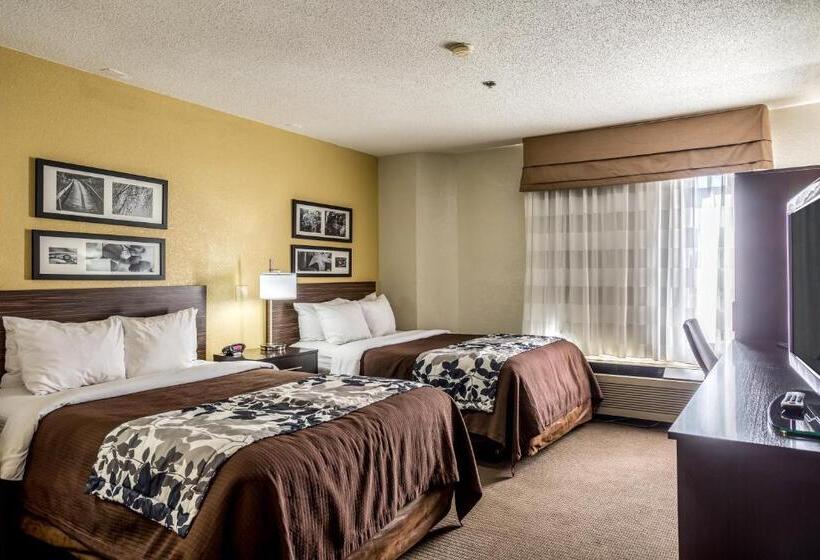 غرفه قياسيه سريرين مزدوجين, Wingate By Wyndham Owensboro