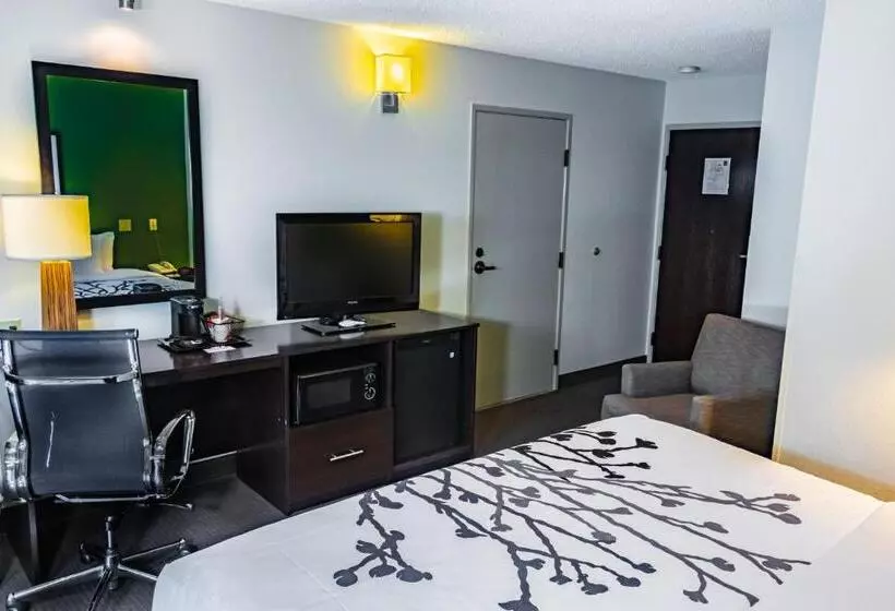 اتاق استاندارد با تخت بزرگ, Sleep Inn Pasco Tri  Cities