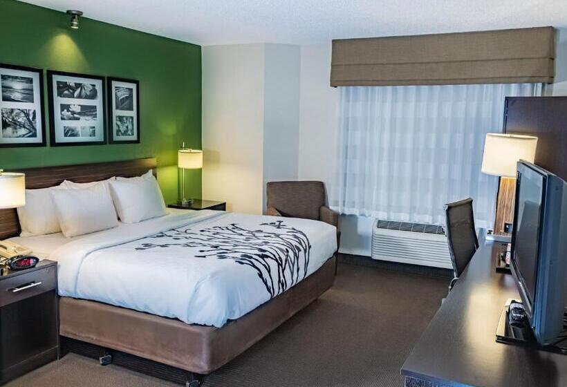 غرفة قياسية سرير كينج, Sleep Inn Pasco Tri  Cities