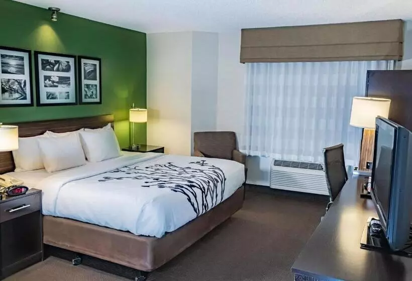 اتاق استاندارد با تخت بزرگ, Sleep Inn Pasco Tri  Cities