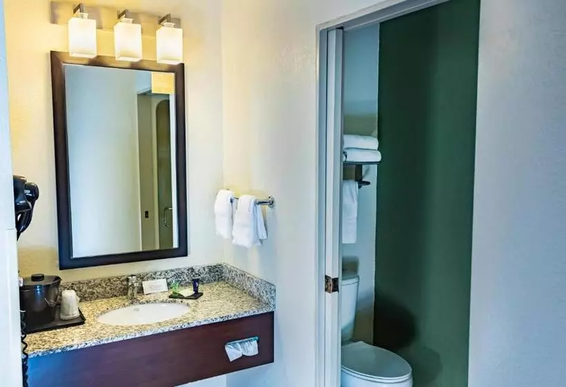 اتاق استاندارد با تخت بزرگ, Sleep Inn Pasco Tri  Cities