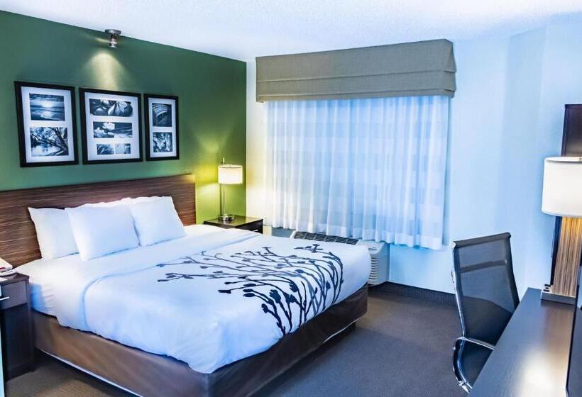 غرفة قياسية سرير كينج, Sleep Inn Pasco Tri  Cities