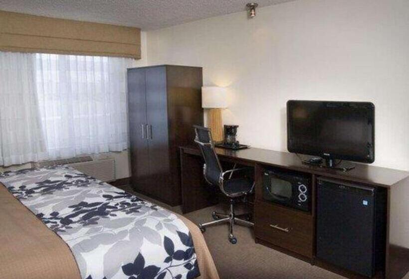 غرفة قياسية سرير كينج, Sleep Inn Pasco Tri  Cities