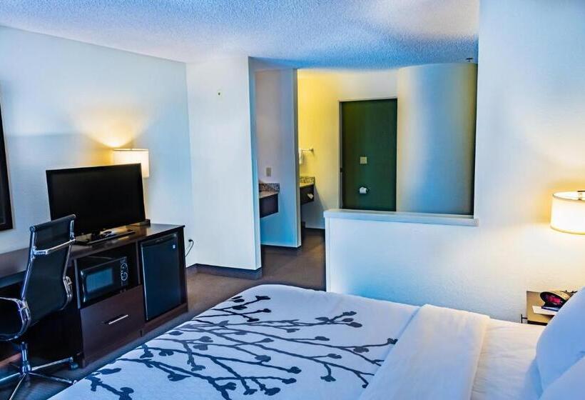 جناح سرير كينج, Sleep Inn Pasco Tri  Cities