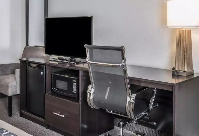 سوئیت با تخت بزرگ, Sleep Inn Pasco Tri  Cities