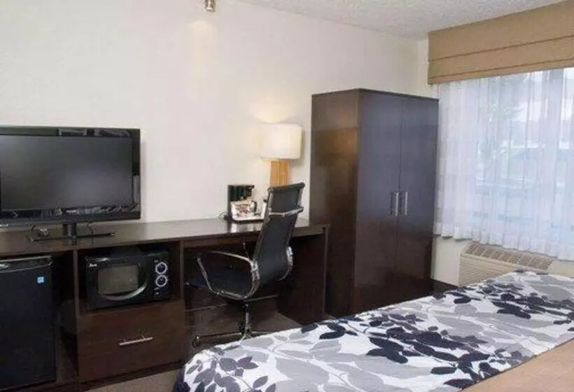 اتاق استاندارد با تخت بزرگ برای معلولان, Sleep Inn Pasco Tri  Cities