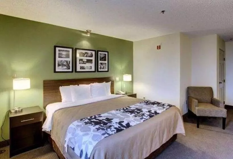اتاق استاندارد با تخت بزرگ برای معلولان, Sleep Inn Pasco Tri  Cities