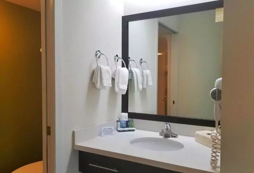اتاق استاندارد با تخت بزرگ برای معلولان, Sleep Inn Pasco Tri  Cities