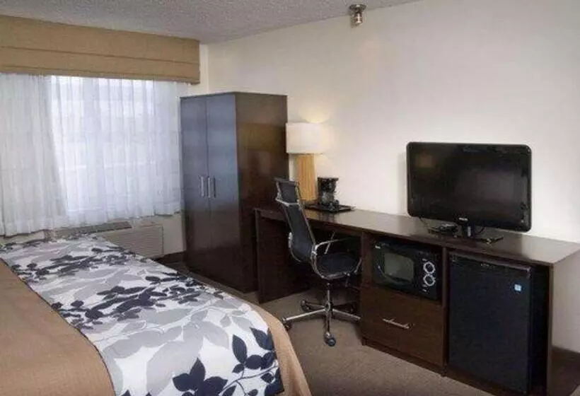 اتاق استاندارد با تخت بزرگ برای معلولان, Sleep Inn Pasco Tri  Cities