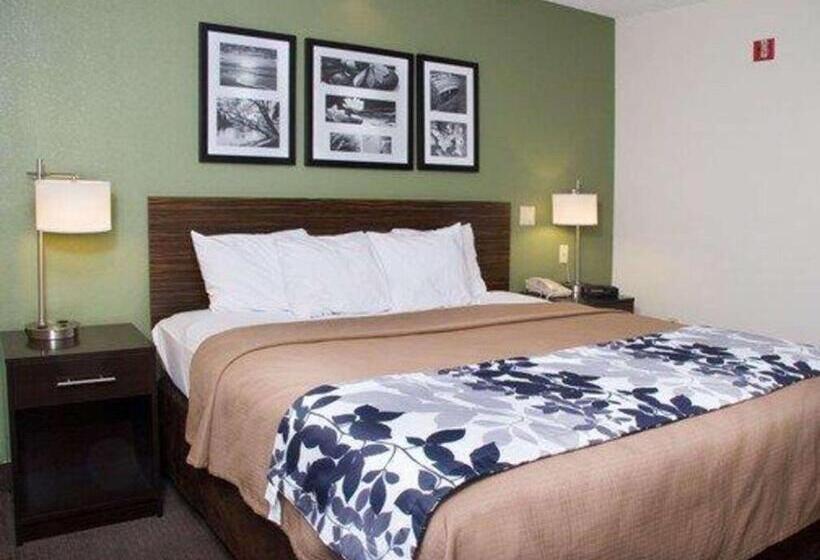 اتاق استاندارد با تخت بزرگ برای معلولان, Sleep Inn Pasco Tri  Cities
