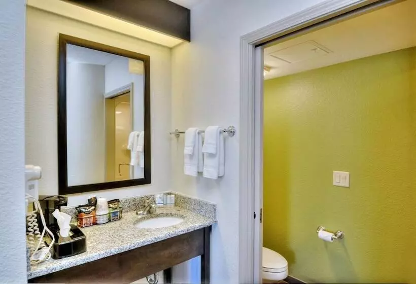 ２ダブルベッドのスタンダードルーム, Sleep Inn & Suites Princeton I 77