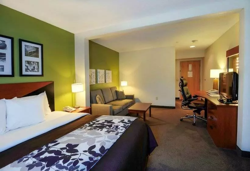 キングサイズベッドのスイートルーム, Sleep Inn & Suites Princeton I 77