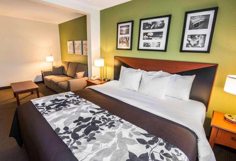 Люкс Кровать Кинг, Sleep Inn & Suites Princeton I 77