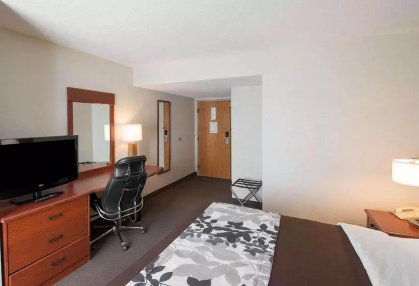 キングサイズベッドのスタンダードルーム, Sleep Inn & Suites Princeton I 77