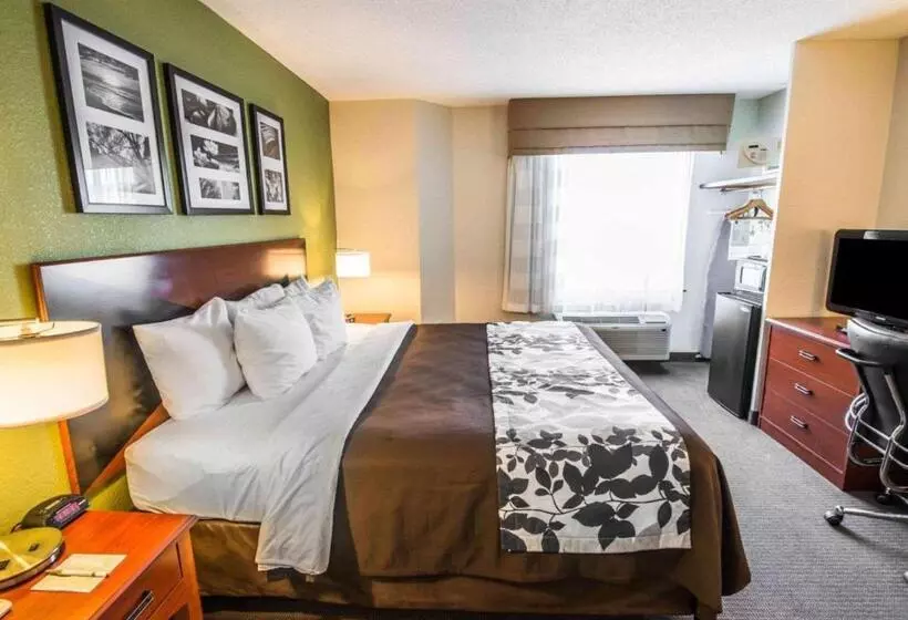 キングサイズベッドのスタンダードルーム, Sleep Inn & Suites Princeton I 77