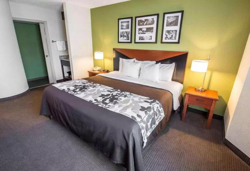 身障者適用スタンダードルーム, Sleep Inn & Suites Princeton I 77