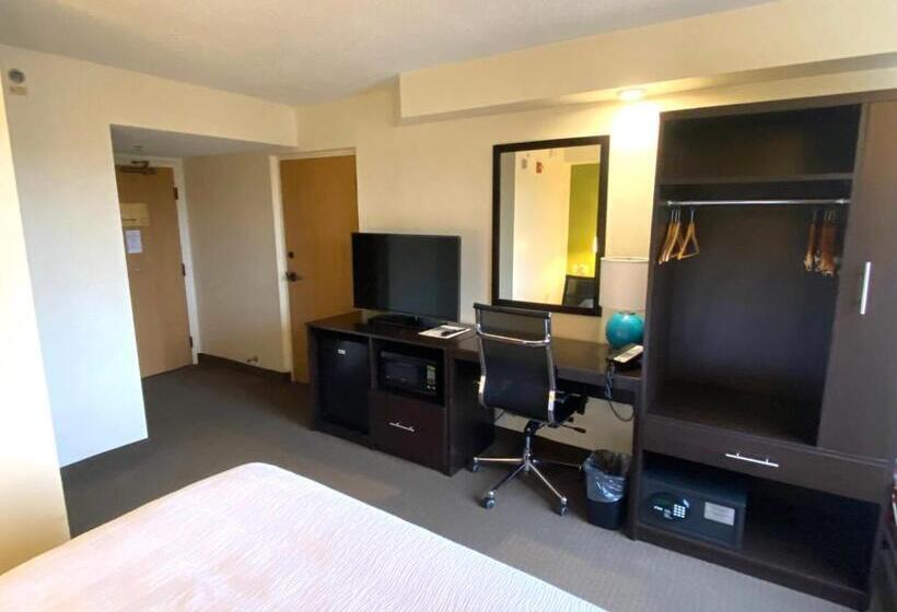 Номер бизнес-класса, Spot X Hotel Tampa   Wesley Chapel By The Red Collection