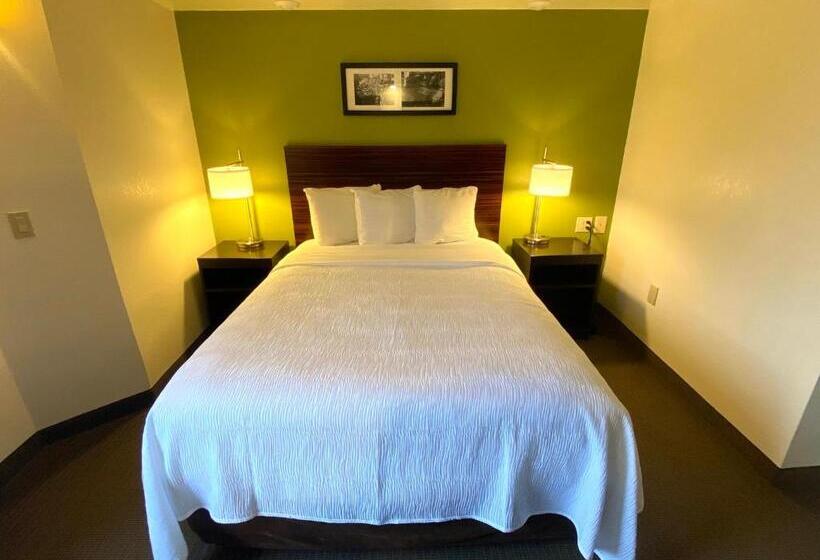 ビジネスルーム, Spot X Hotel Tampa   Wesley Chapel By The Red Collection