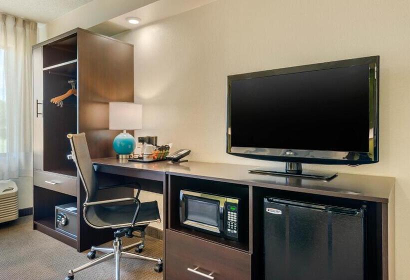 ビジネスルーム, Spot X Hotel Tampa   Wesley Chapel By The Red Collection