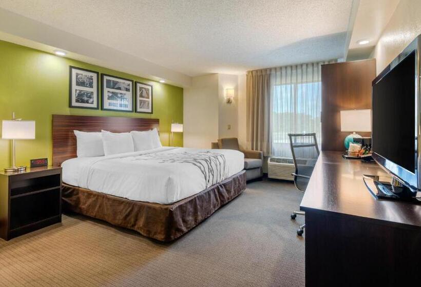 Номер бизнес-класса, Spot X Hotel Tampa   Wesley Chapel By The Red Collection