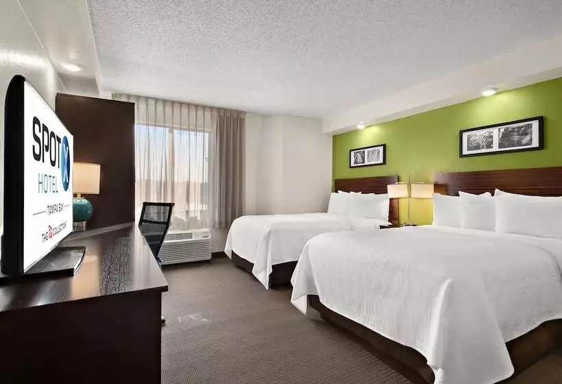 Bisneshuone, Spot X Hotel Tampa   Wesley Chapel By The Red Collection