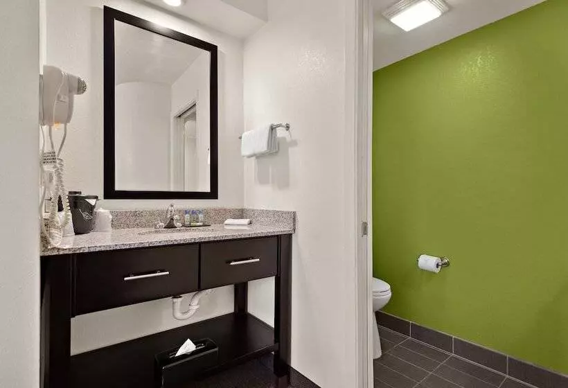 Bisneshuone, Spot X Hotel Tampa   Wesley Chapel By The Red Collection