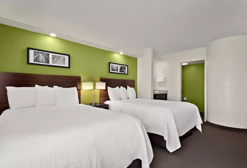 Bisneshuone, Spot X Hotel Tampa   Wesley Chapel By The Red Collection