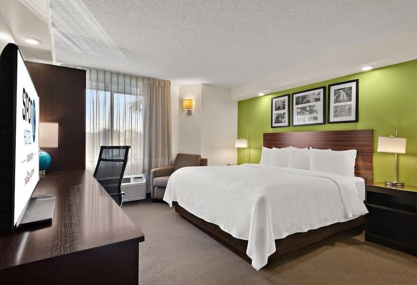 Номер бизнес-класса, Spot X Hotel Tampa   Wesley Chapel By The Red Collection