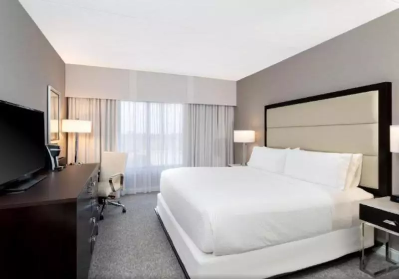 キングサイズベッドのスイートルーム, Springhill Suites Boca Raton