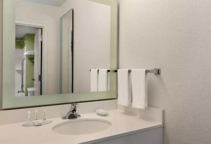 キングサイズベッドのスイートルーム, Springhill Suites Boca Raton