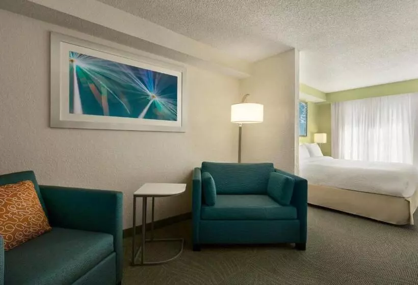 キングサイズベッドのスイートルーム, Springhill Suites Boca Raton