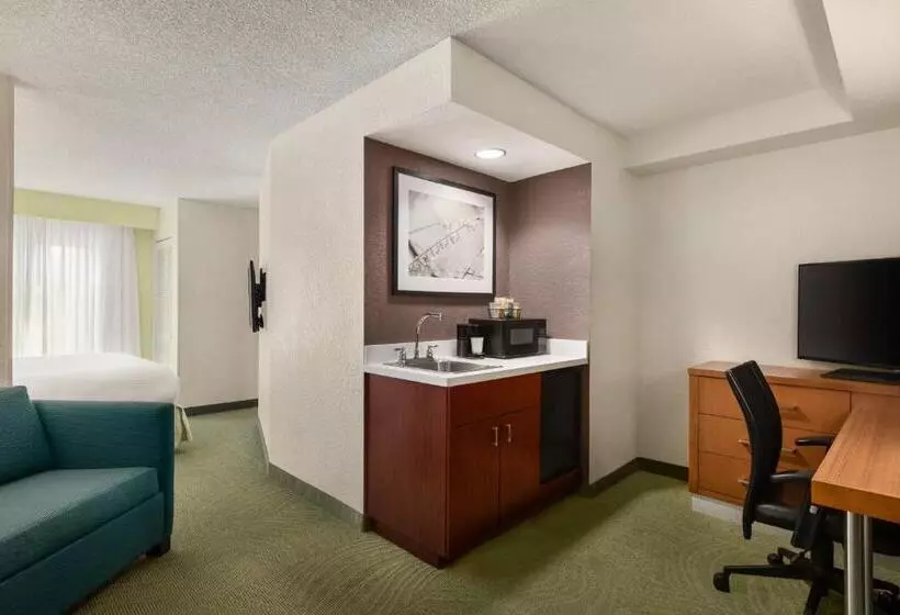 キングサイズベッドのスイートルーム, Springhill Suites Boca Raton