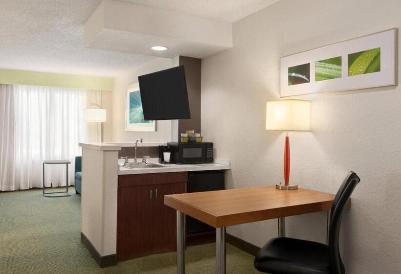 جناح لذوى الاحتياجات الخاصة, Springhill Suites Boca Raton