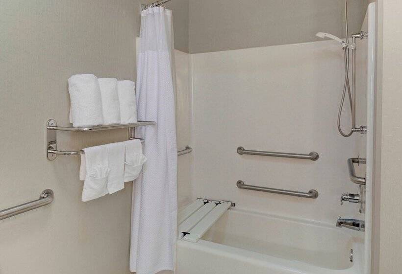 套房, Springhill Suites By Marriott Memphis East Galleria