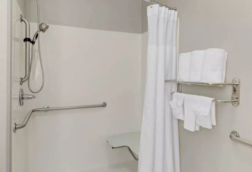 スイート, Springhill Suites By Marriott Memphis East Galleria