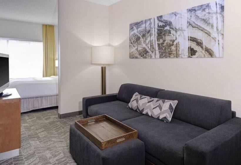 Suite, Springhill Suites By Marriott Memphis East Galleria