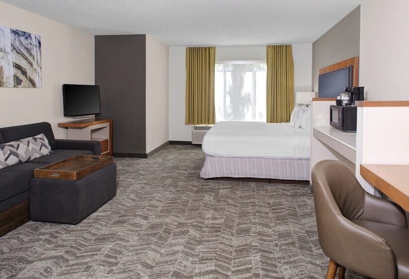 套房, Springhill Suites By Marriott Memphis East Galleria