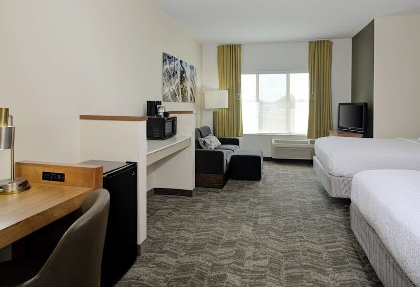 Suite, Springhill Suites By Marriott Memphis East Galleria