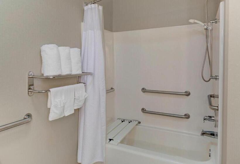 Suite Letto King, Springhill Suites By Marriott Memphis East Galleria
