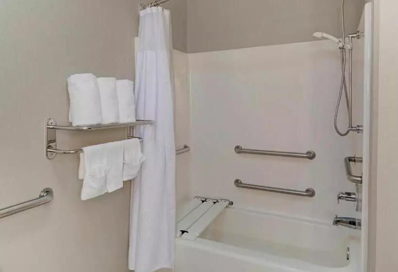 キングサイズベッドのスイートルーム, Springhill Suites By Marriott Memphis East Galleria