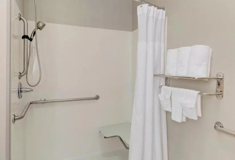 キングサイズベッドのスイートルーム, Springhill Suites By Marriott Memphis East Galleria