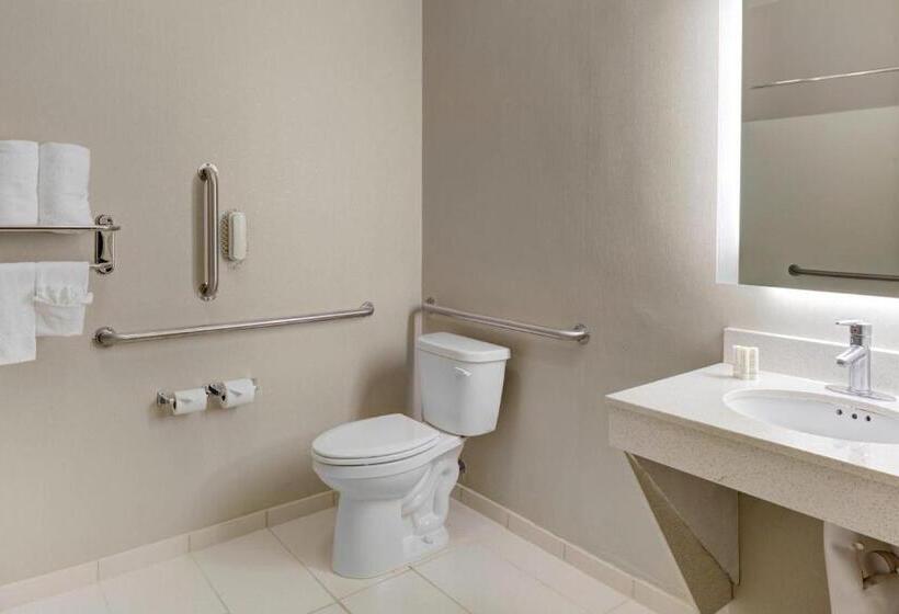 带大床的套房, Springhill Suites By Marriott Memphis East Galleria