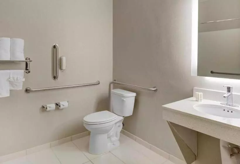 キングサイズベッドのスイートルーム, Springhill Suites By Marriott Memphis East Galleria