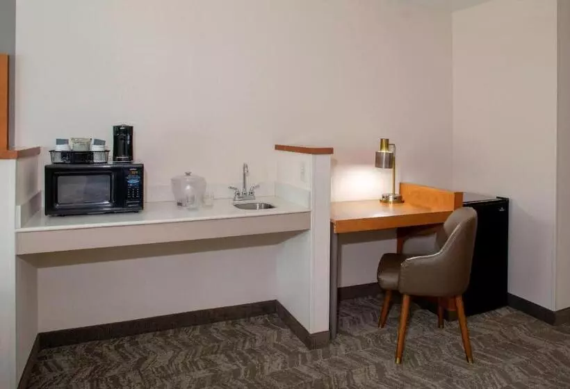 キングサイズベッドのスイートルーム, Springhill Suites By Marriott Memphis East Galleria