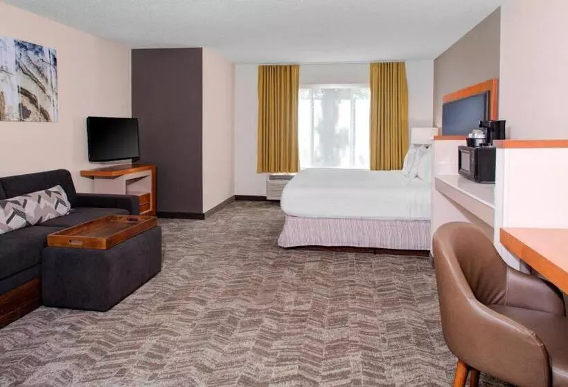 キングサイズベッドのスイートルーム, Springhill Suites By Marriott Memphis East Galleria