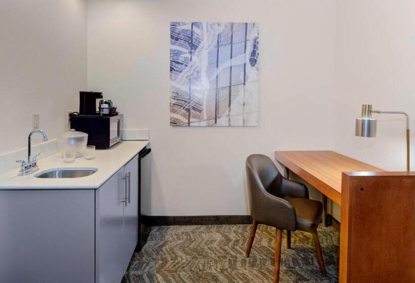 带大床的套房, Springhill Suites By Marriott Memphis East Galleria