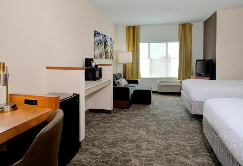 套房, Springhill Suites By Marriott Memphis East Galleria