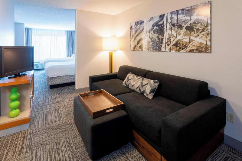 Студия Стандарт, Springhill Suites Rochester Mayo Clinic Area/saint Marys